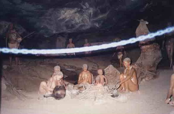 Bushman display